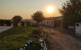 La Granja de Juli